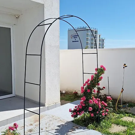 Waterman Guest house Costinesti